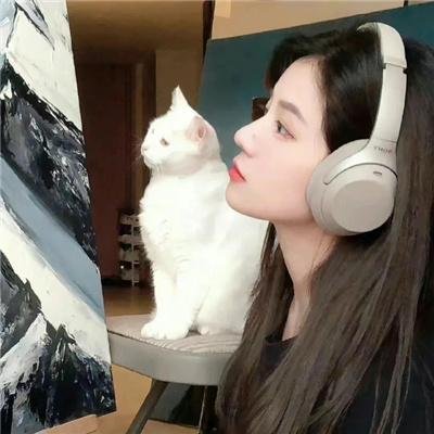 我的夏日恋曲